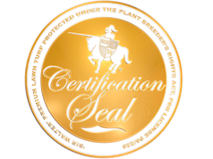 Certicfication Seal