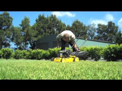 Scarifying to Correct Thatch in Your Lawn