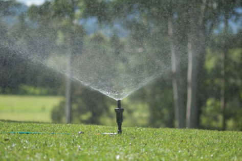 Lawn Installation